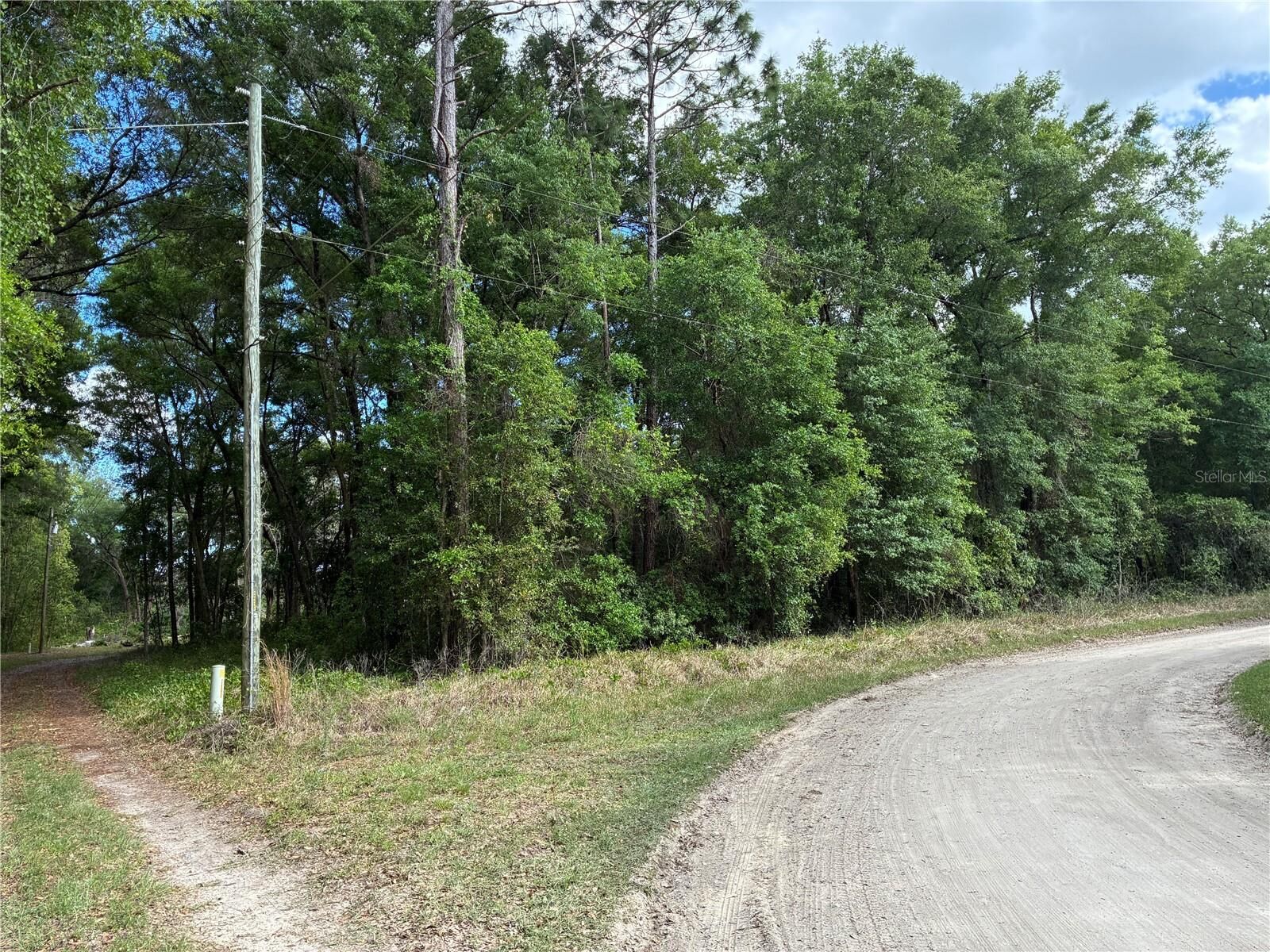 Property Photo:  SE 142nd Ave And SE 120th Pl  FL 32179 