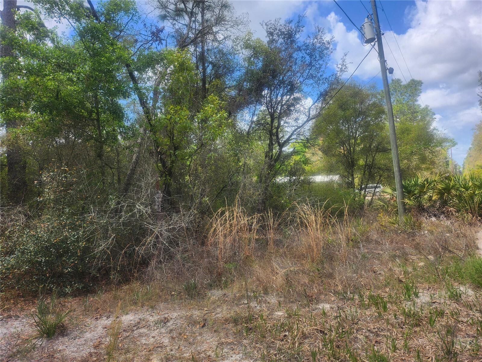 Property Photo:  Tbd NE 236 Lane  FL 32182 