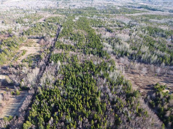 Property Photo:  Parcel B North Shore Road  NS B0K 1E0 