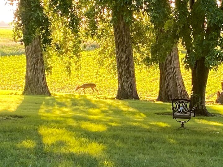 Property Photo:  2997 440th Street  MN 56223 