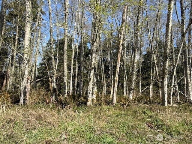 Property Photo: 0 Lot 18 Ander Park Road WA 98249