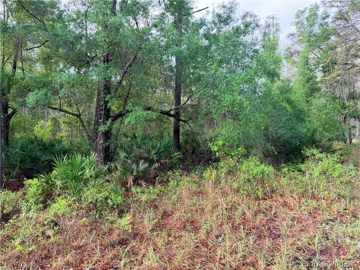 Property Photo:  7494 W Nadel Drive  FL 34428 