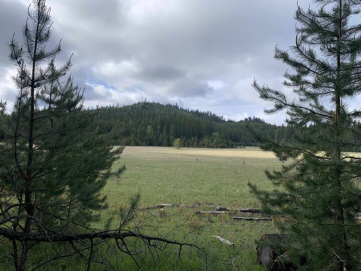 Property Photo:  3xx Beaver Valley Rd  WA 99154 