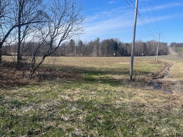 Property Photo: 000 State Route104a NY 13156