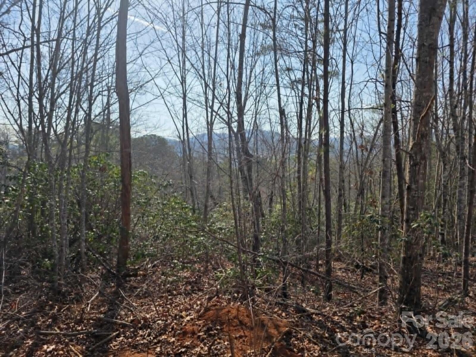 Property Photo:  Lot 8 Kerlee Lane  NC 28762 