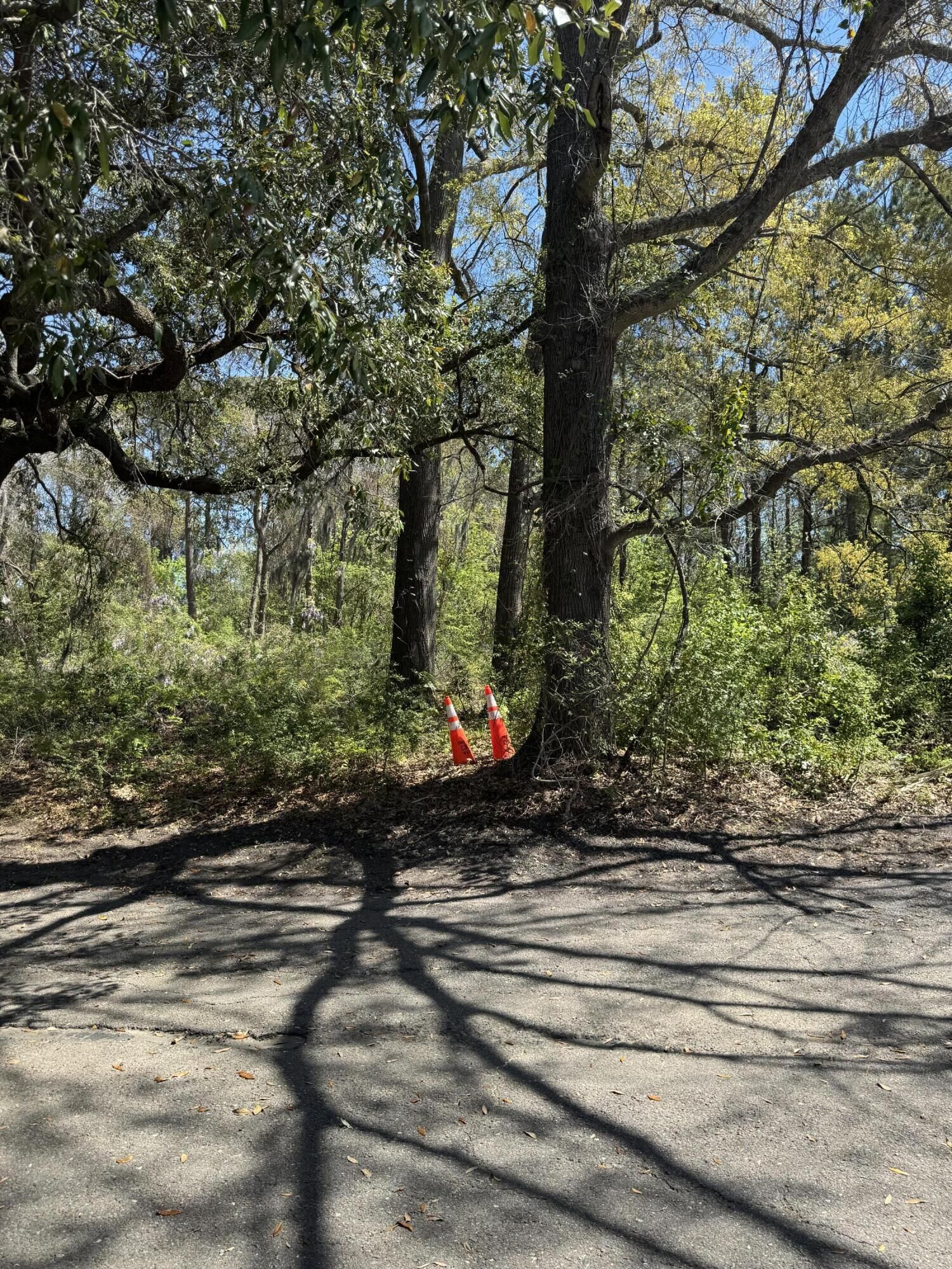 Property Photo:  8730 N Park Boulevard  SC 29406 