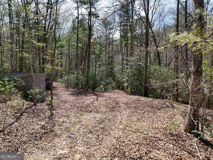 Property Photo:  Lt 117 Laurel Trace  GA 30513 