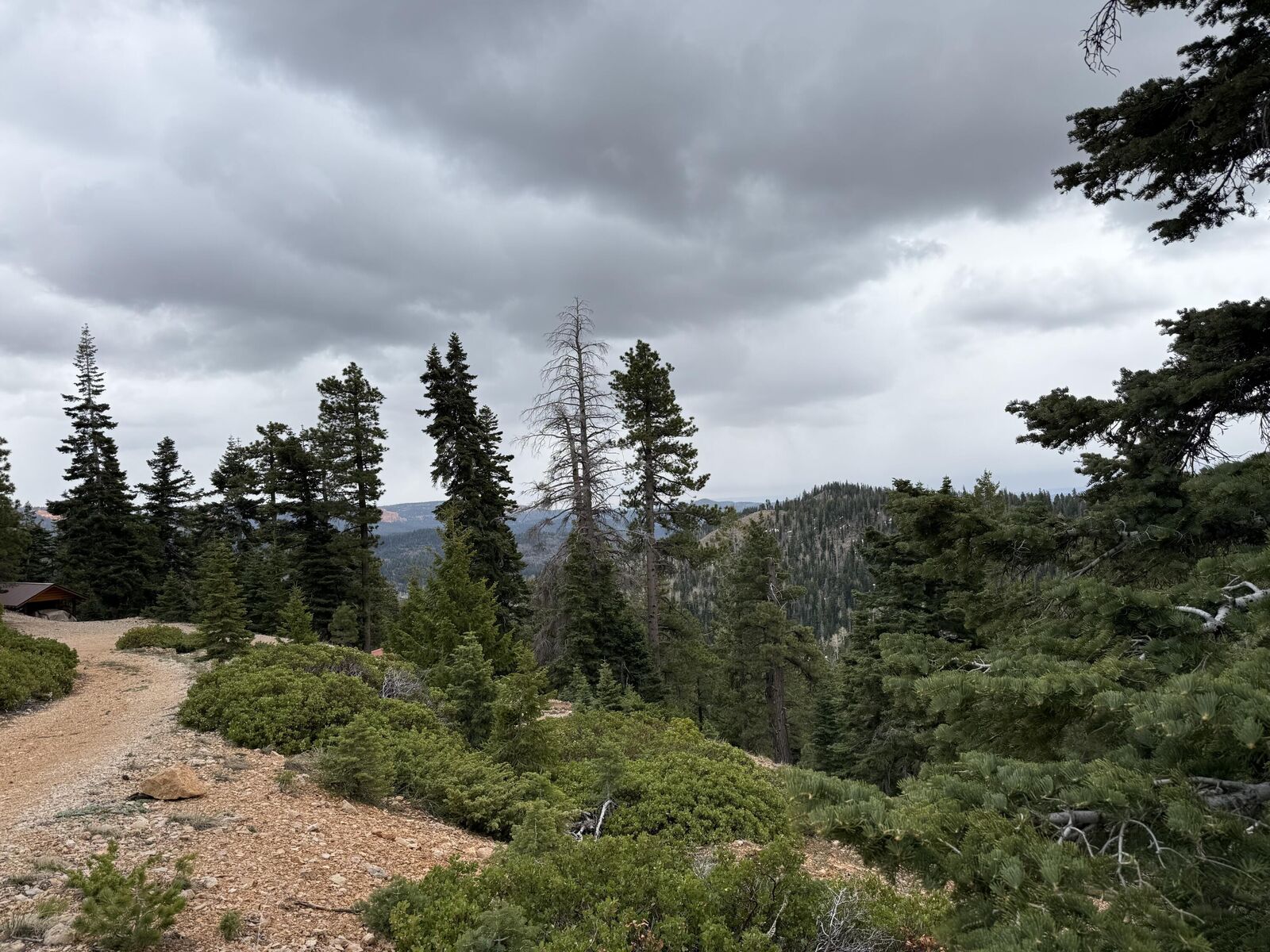 Property Photo:  5140 W Bear Cir  UT 84762 