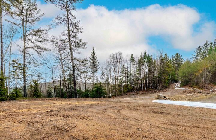 Property Photo: 956 Mosquitoville Road VT 05042