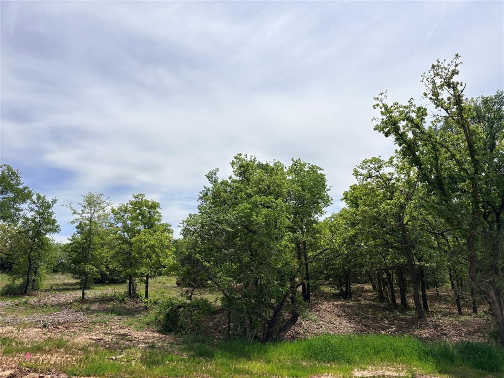 Property Photo:  135 Turtle Back Ridge  TX 76234 