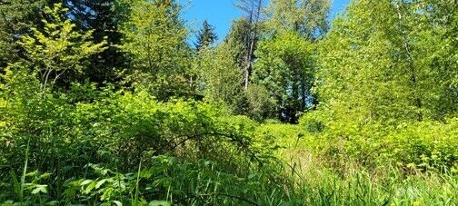 Property Photo:  825  99th Avenue SE  WA 98258 