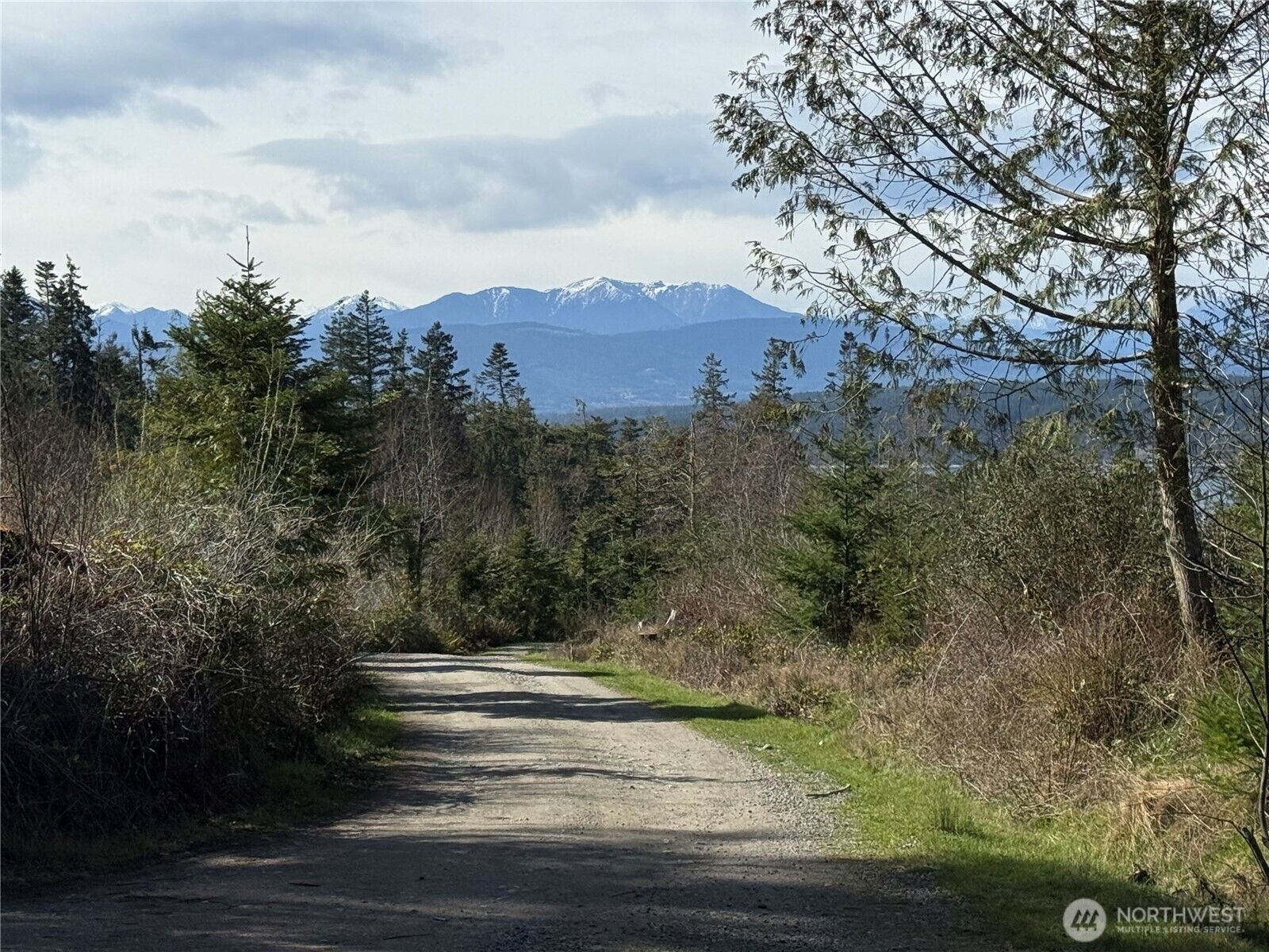 Property Photo:  282  Drake Road  WA 98368 