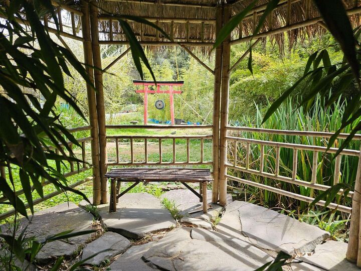 Property Photo:  5601 Freedom Boulevard  CA 95003 