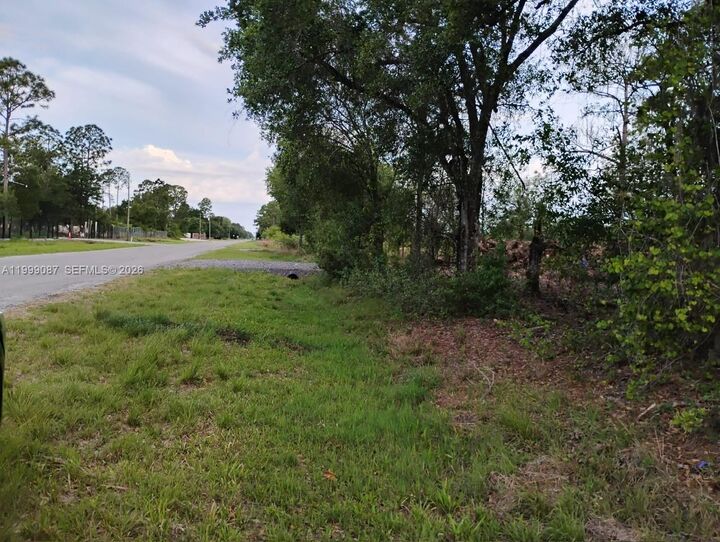 Property Photo:  845 Appaloosa Avenue  FL 33440 