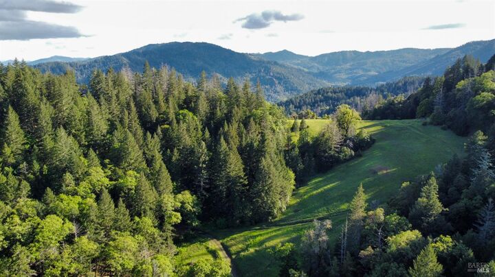 Property Photo: 8735 Woodman Creek Road CA 95454