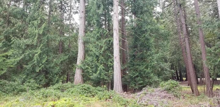 Property Photo: 512 Aya Reach Road BC V0N 2J1