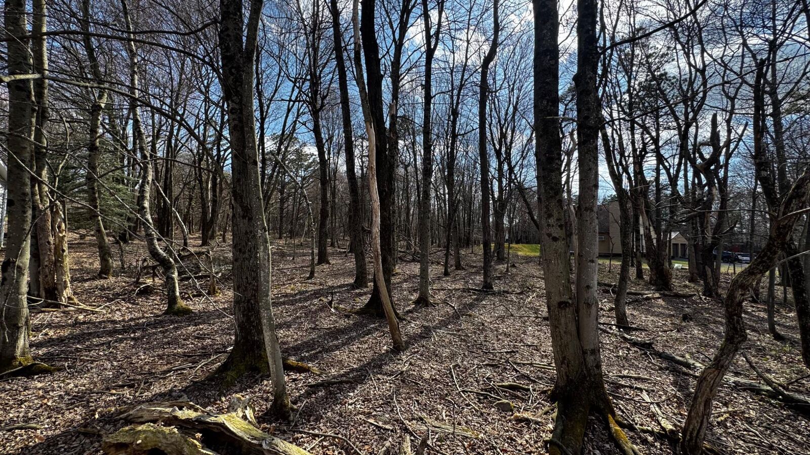 Property Photo:  0 Stony Mountain  PA 18210 