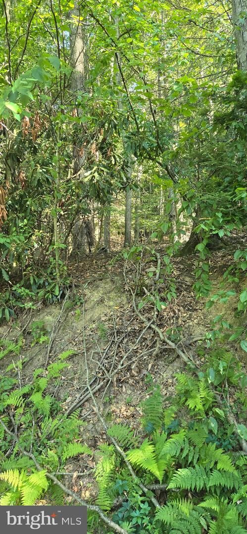 Property Photo: 0 Ridge Road PA 17930