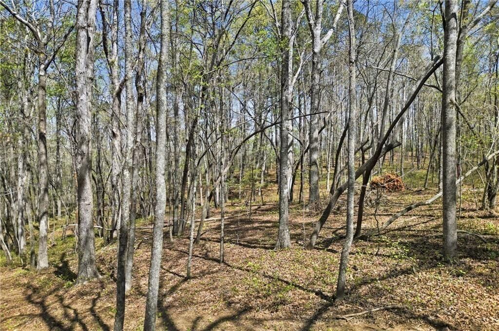 Property Photo: 117 Heritage Plantation Drive GA 30107