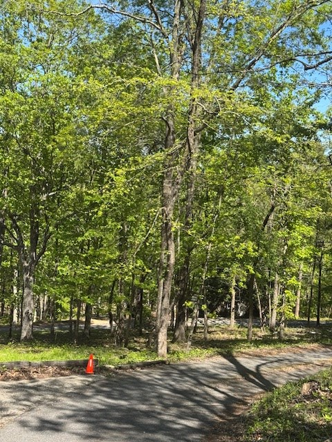 Property Photo:  0 Royal Lodge Circle  GA 31830 