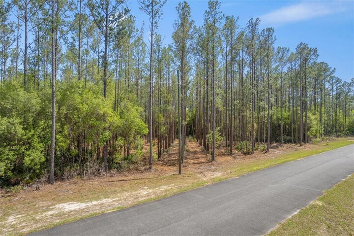 Property Photo: Lot 22 Heritage Way GA 31543
