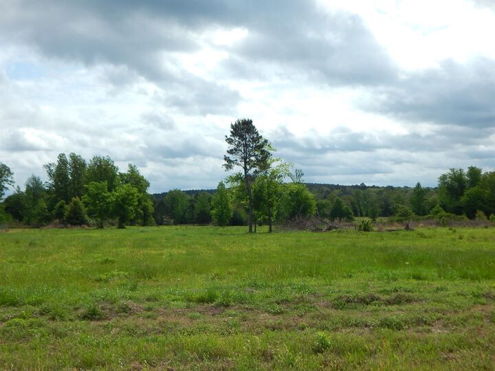 Property Photo:  Tbd Eagle Court  TX 75640 