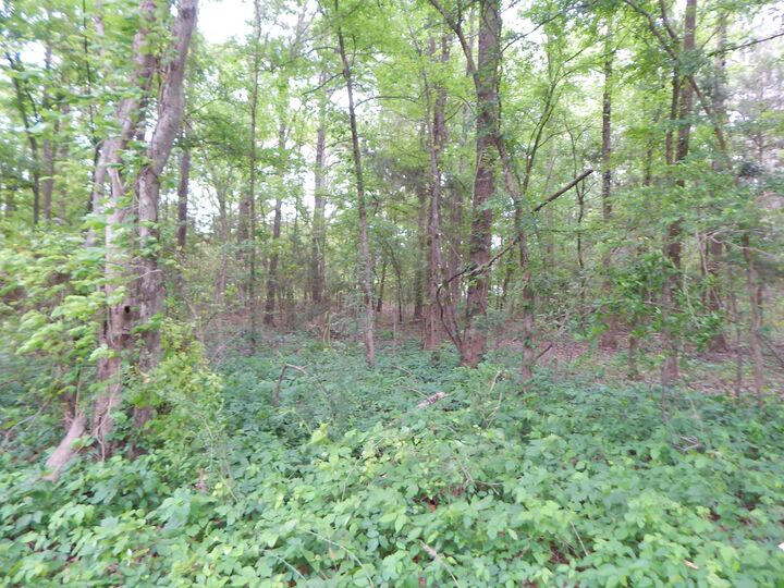 Property Photo:  Tbd 3.07 Acre Woodchuck Rd.  TX 75686 
