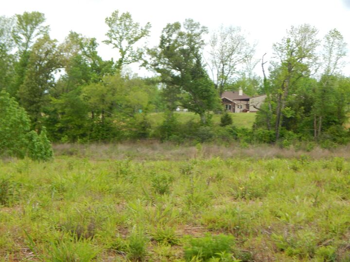 Property Photo: Tbd Cardinal Court TX 75640