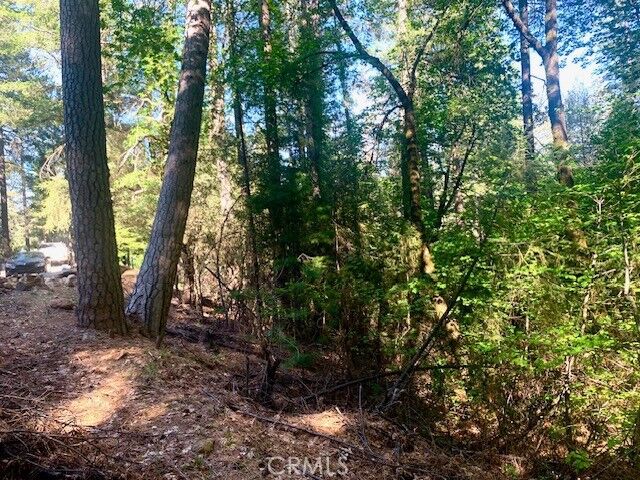 Property Photo:  17325 Fernbrook  CA 95461 