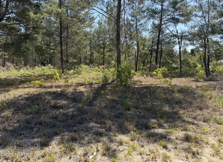 Property Photo: 7577 Casa Grande Boulevard FL 32656