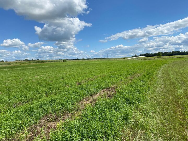 Property Photo:  Lot 2 Blk 2 Serenity Drive SW  MN 56308 