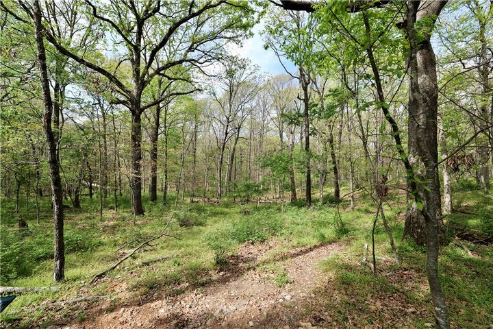 Property Photo:  Lot 23cc Hummingbird Road  AR 72736 