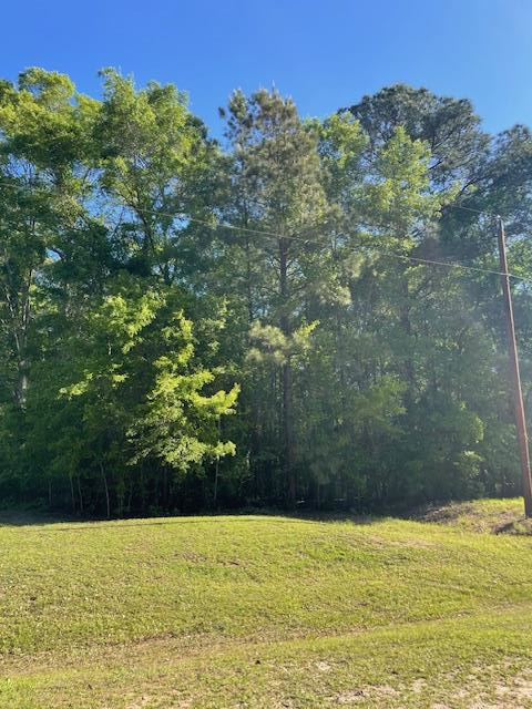 Property Photo:  0 Green Road  AL 36303 