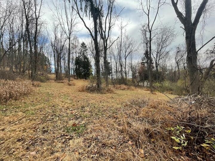 Property Photo: 000 Hilton/Margurite Rd PA 15601
