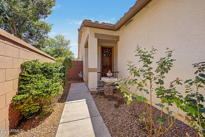 Property Photo:  945 W Empress Tree Avenue  AZ 85140 