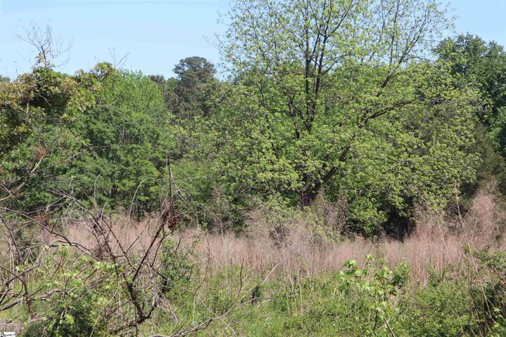 Property Photo:  0 Old Canaan Tract 6 Road  SC 29306 