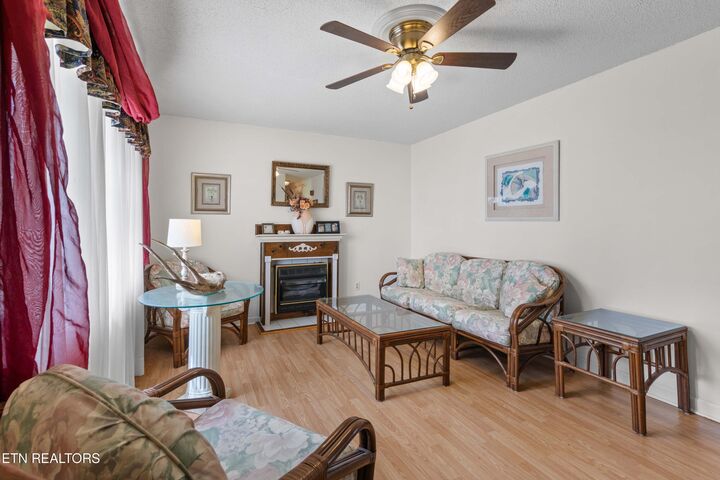 Property Photo:  311 Thelma Circle  TN 37757 