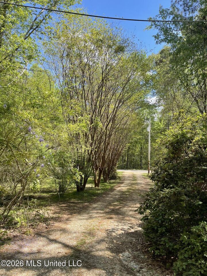 Property Photo:  91 Charles Mitchell Road  MS 39470 