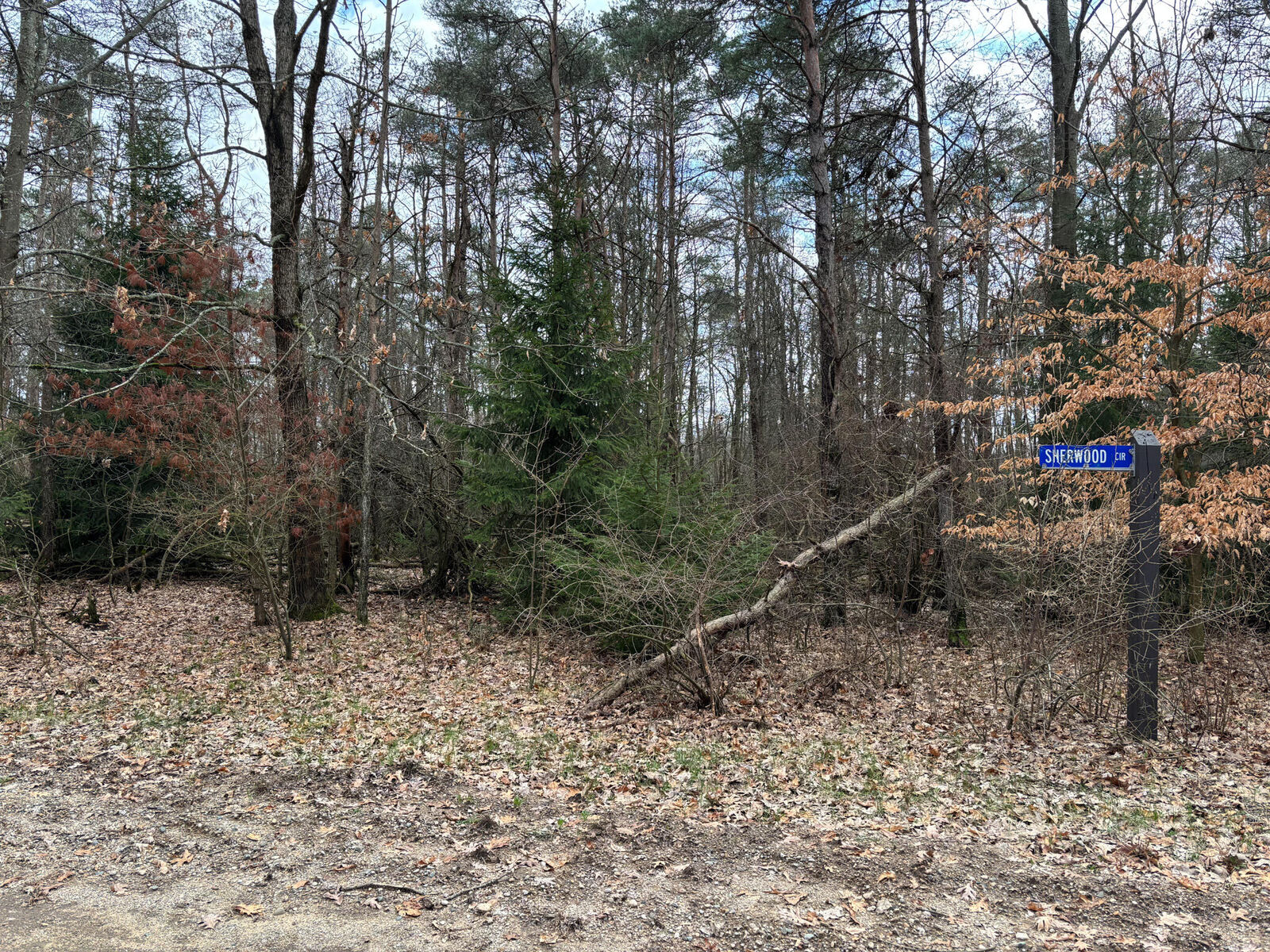 Property Photo:  10181 Sherwood Circle  MI 49346 