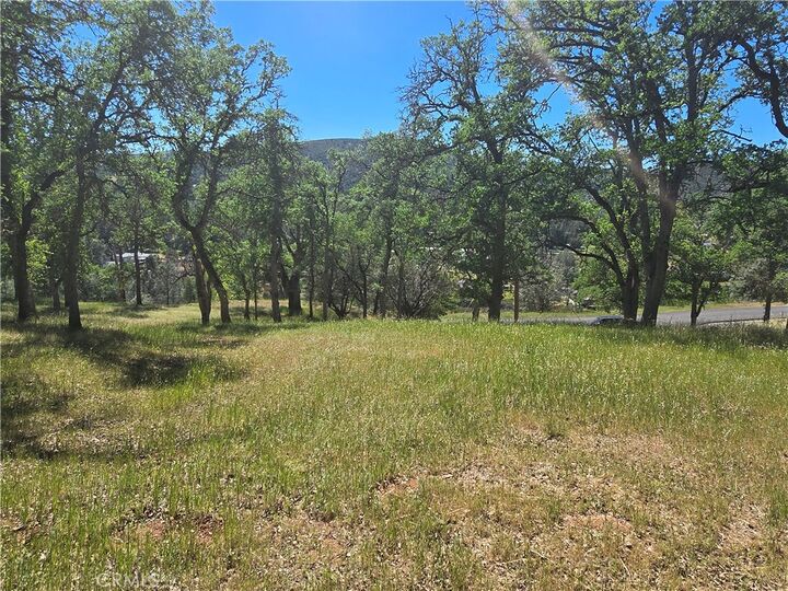 Property Photo:  3128 Wolf Creek Rd  CA 95423 
