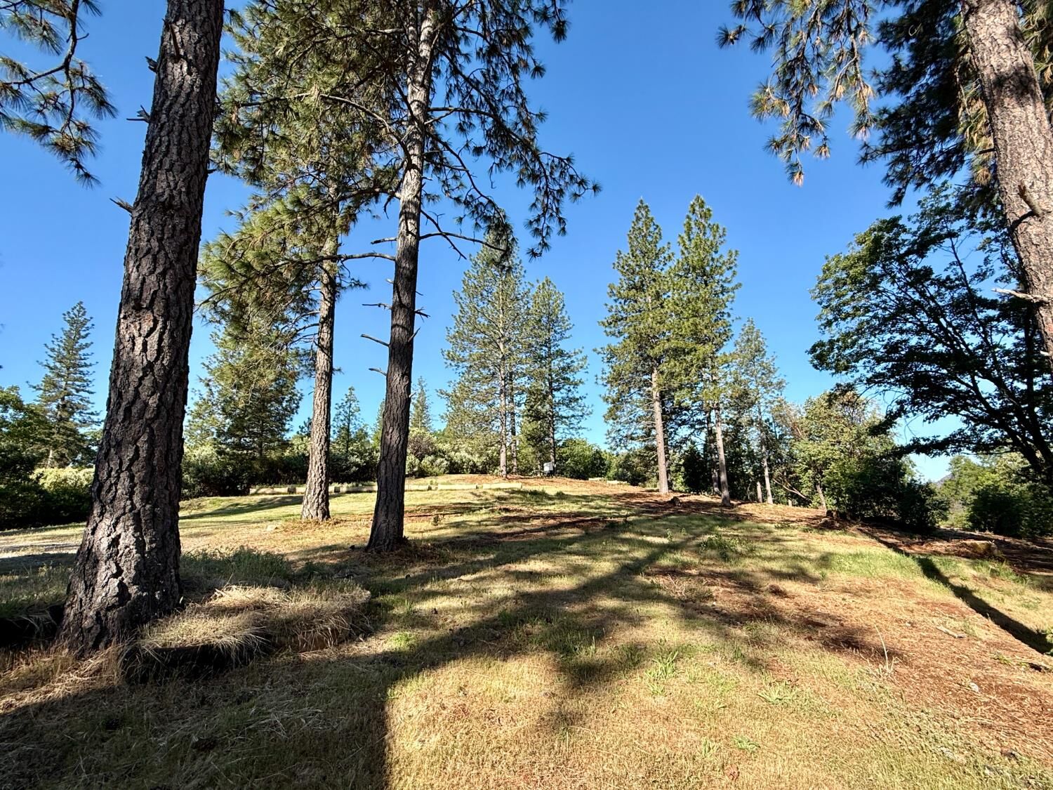 Property Photo:  16824 Pine Grove Reservoir  CA 95959 
