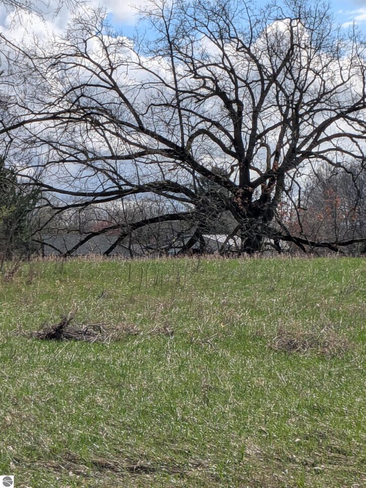 Property Photo:  1095 Lincoln Drive  MI 48893 