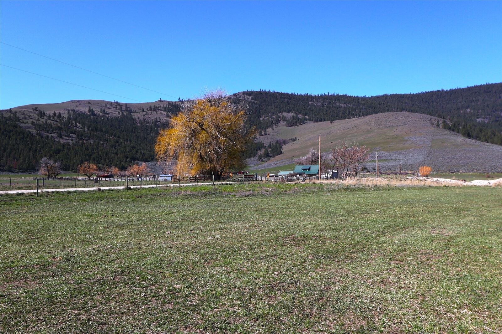 Property Photo:  180 Patton Road  MT 59848 