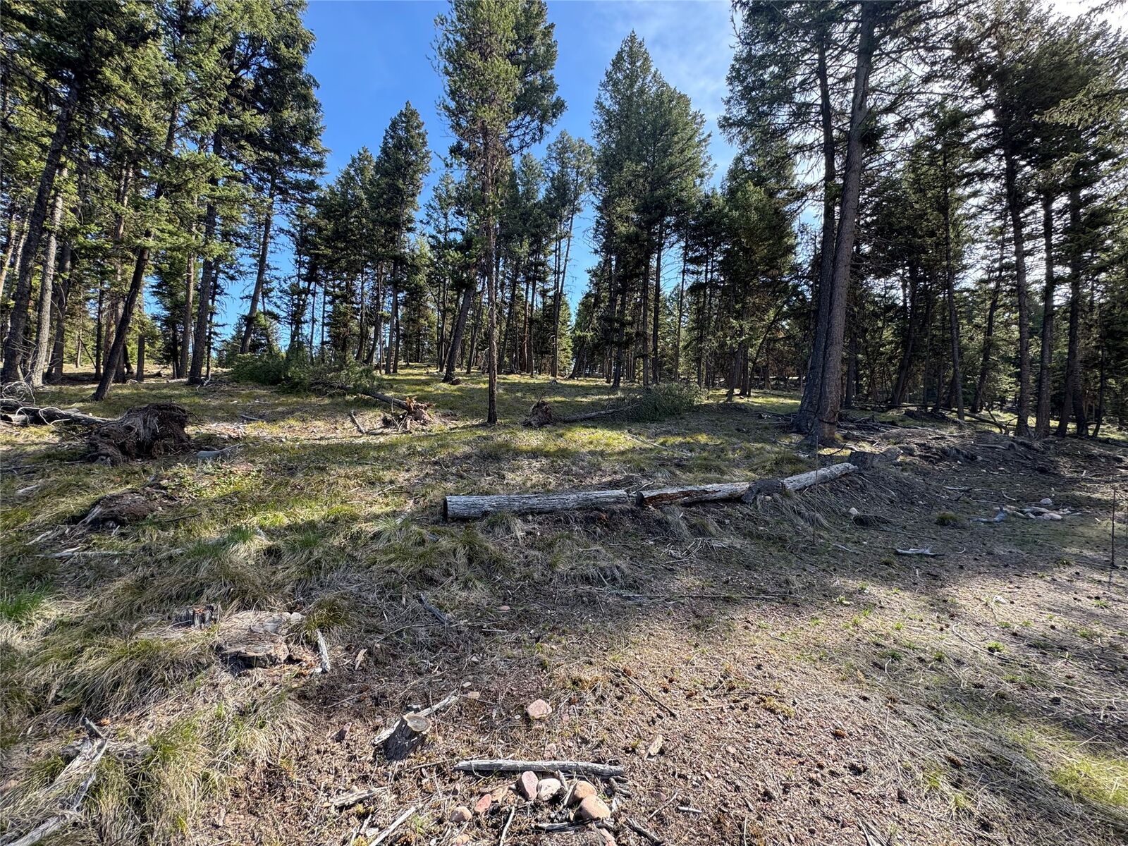 Property Photo:  349 Seclusion Point  MT 59868 