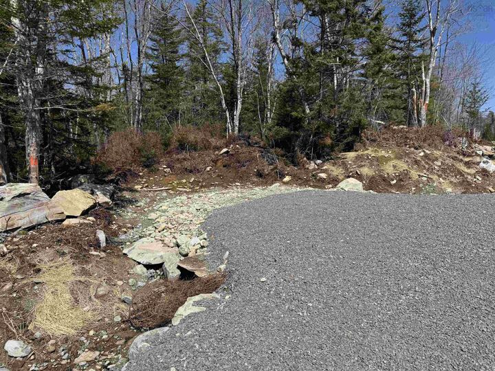 Property Photo:  Lot 8 Highway 3 Summerville Heights  NS B0T 1T0 