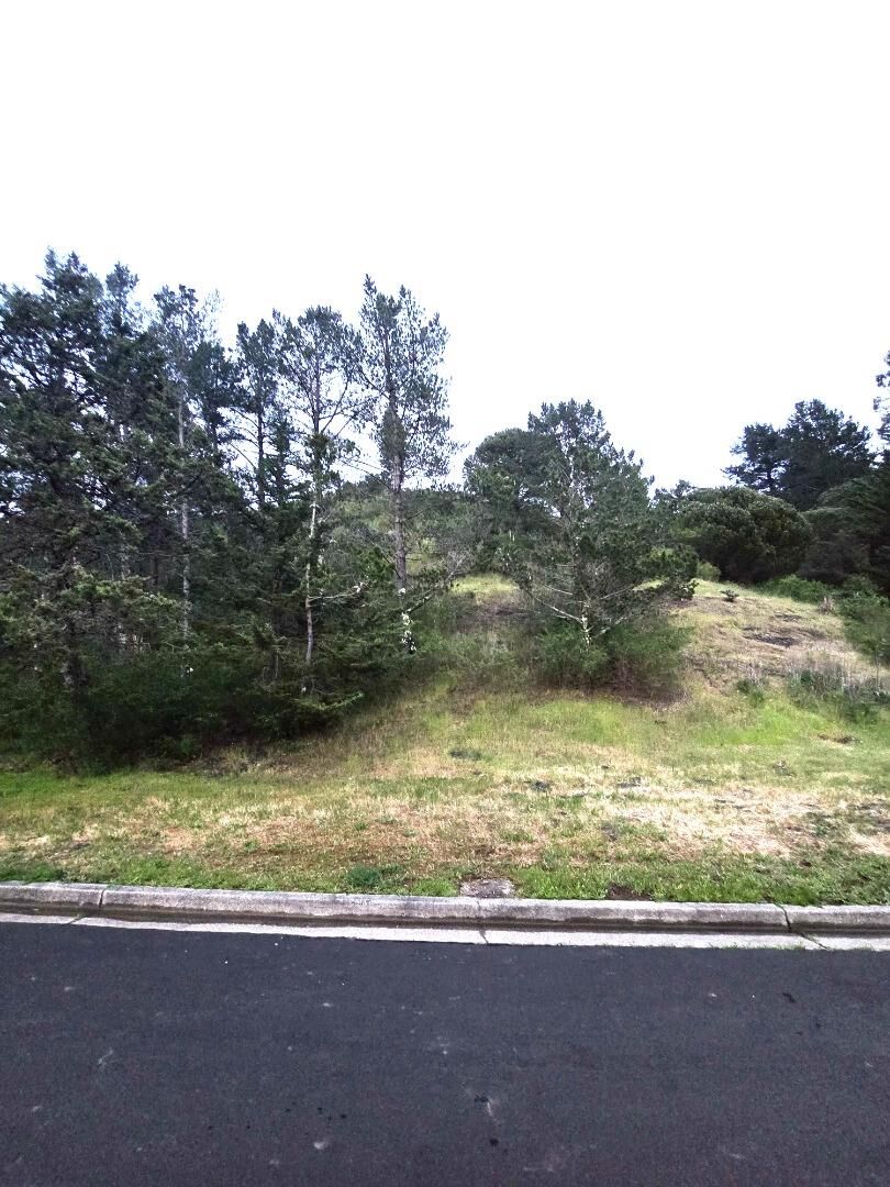 Property Photo:  20 Barton Place  CA 94044 