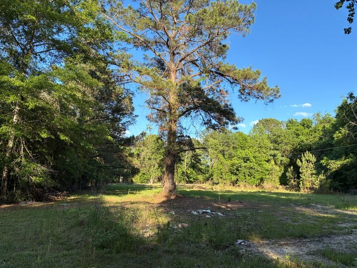 Property Photo:  612 Edwin Reynolds Road  AL 36320 