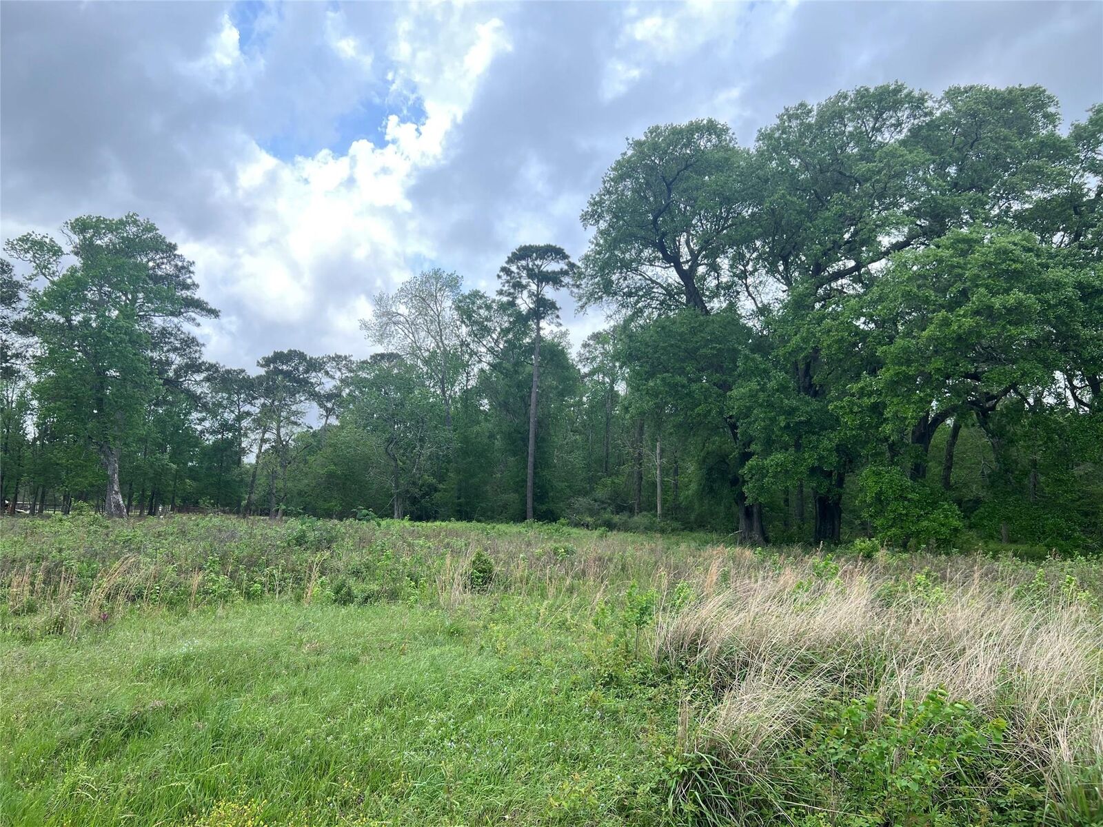 Property Photo:  000 N Mlk Drive  TX 77575 