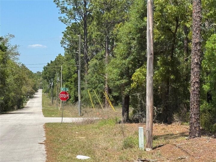 Property Photo:  Lot 2 SW 206 Avenue  FL 34431 