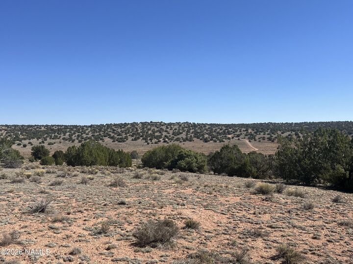 Property Photo:  6708 W Wild Honey Lot A - 10 Ac  AZ 86046 